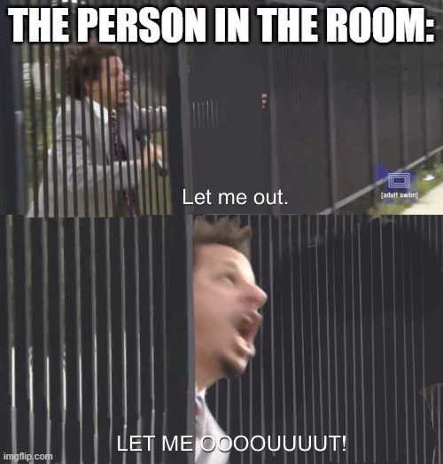 LET ME OUT | THE PERSON IN THE ROOM: | image tagged in let me out | made w/ Imgflip meme maker
