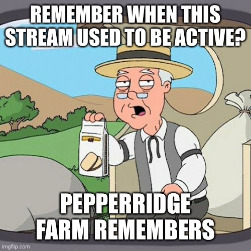 Pepperidge Farm Remembers | REMEMBER WHEN THIS STREAM USED TO BE ACTIVE? PEPPERRIDGE FARM REMEMBERS | image tagged in memes,pepperidge farm remembers | made w/ Imgflip meme maker