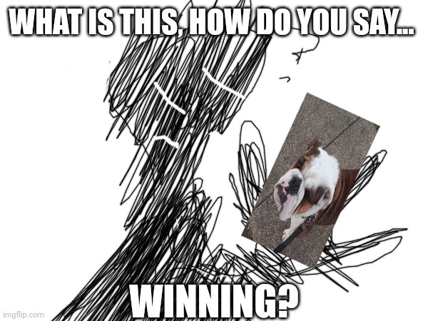 The dark matter being finds out about winnin | WHAT IS THIS, HOW DO YOU SAY... WINNING? | image tagged in winnin,dark matter being | made w/ Imgflip meme maker