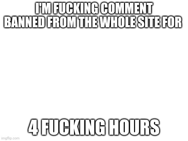 I'M FUCKING COMMENT BANNED FROM THE WHOLE SITE FOR; 4 FUCKING HOURS | made w/ Imgflip meme maker