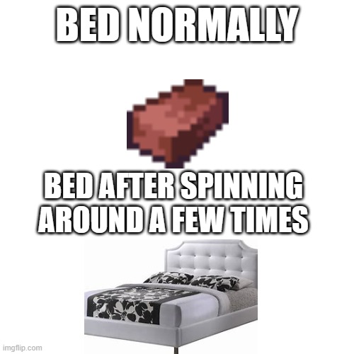 my dog made this meme | BED NORMALLY; BED AFTER SPINNING AROUND A FEW TIMES | image tagged in doggo | made w/ Imgflip meme maker