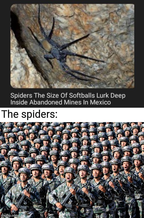 Spiders lurking deep inside | The spiders: | image tagged in china invasion,spiders,spider,mexico,memes,lurking | made w/ Imgflip meme maker