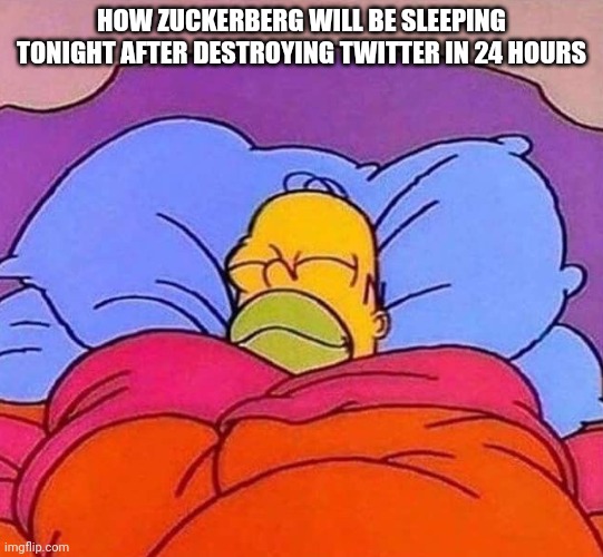 Homer Simpson sleeping peacefully | HOW ZUCKERBERG WILL BE SLEEPING TONIGHT AFTER DESTROYING TWITTER IN 24 HOURS | image tagged in homer simpson sleeping peacefully | made w/ Imgflip meme maker