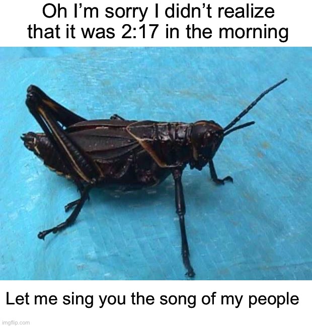 The crickets need to shut up | Oh I’m sorry I didn’t realize that it was 2:17 in the morning; Let me sing you the song of my people | image tagged in cricket,memes,funny,true story,relatable memes,summer | made w/ Imgflip meme maker