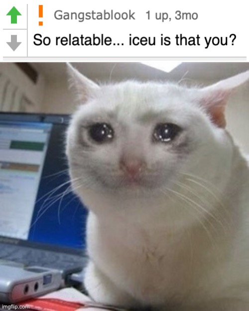 Link in comments, also I replied so late -_- | image tagged in crying cat | made w/ Imgflip meme maker