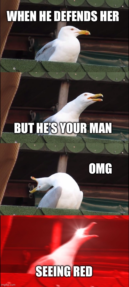 Inhaling Seagull Meme | WHEN HE DEFENDS HER; BUT HE’S YOUR MAN; OMG; SEEING RED | image tagged in memes,inhaling seagull | made w/ Imgflip meme maker