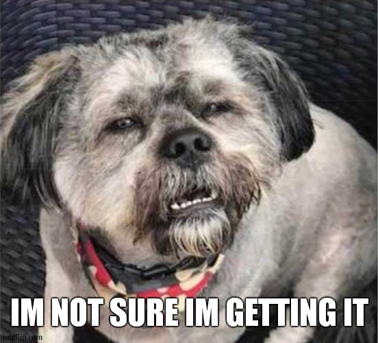 confused dog | IM NOT SURE IM GETTING IT | image tagged in confused dog | made w/ Imgflip meme maker