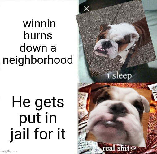 He shouldn't be held accountable for such crimes | winnin burns down a neighborhood; He gets put in jail for it | image tagged in memes,sleeping shaq | made w/ Imgflip meme maker