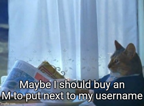 . | Maybe I should buy an M to put next to my username | image tagged in memes,i should buy a boat cat | made w/ Imgflip meme maker