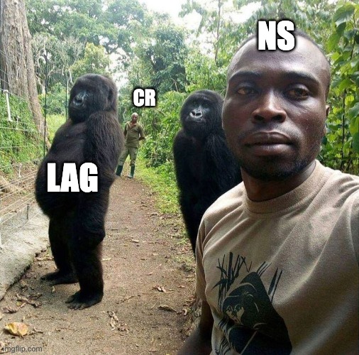 Posing Gorillas | NS; CR; LAG | image tagged in posing gorillas | made w/ Imgflip meme maker