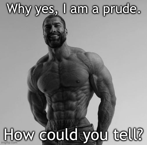 Yes, we are prudes, and I’m proud of being that! | Why yes, I am a prude. How could you tell? | image tagged in gigachad | made w/ Imgflip meme maker