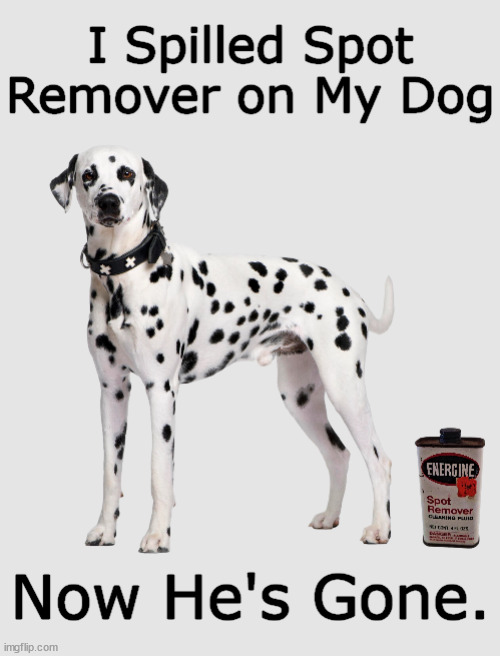 I Spilled Spot Remover on My Dog | image tagged in dog,dogs,spot,steven wright,funny,memes | made w/ Imgflip meme maker