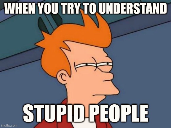 when you try to understand stupid people | WHEN YOU TRY TO UNDERSTAND; STUPID PEOPLE | image tagged in memes,futurama fry | made w/ Imgflip meme maker