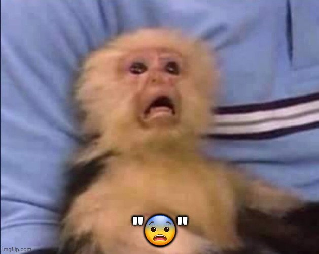 Frightened monkey | "😨" | image tagged in frightened monkey | made w/ Imgflip meme maker