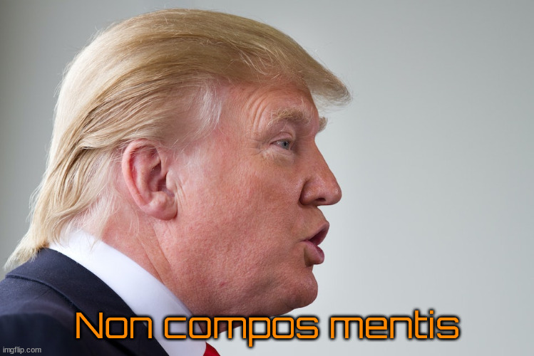 Non compos mentis | Non compos mentis | image tagged in donald trump,maga,felon,guilty,republicans,mar-a-lago | made w/ Imgflip meme maker
