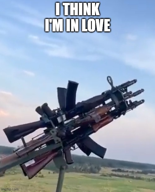 love | I THINK
I'M IN LOVE | image tagged in love,guns,guy | made w/ Imgflip meme maker