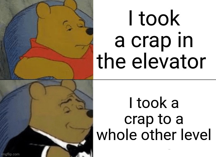 That's better | I took a crap in the elevator; I took a crap to a whole other level | image tagged in memes,tuxedo winnie the pooh | made w/ Imgflip meme maker
