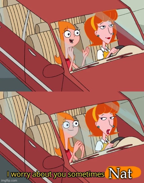 I worry about you sometimes Candace | Nat | image tagged in i worry about you sometimes candace | made w/ Imgflip meme maker
