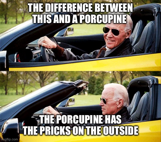 Joe Biden in a car | THE DIFFERENCE BETWEEN THIS AND A PORCUPINE; THE PORCUPINE HAS THE PRICKS ON THE OUTSIDE | image tagged in joe biden in a car | made w/ Imgflip meme maker