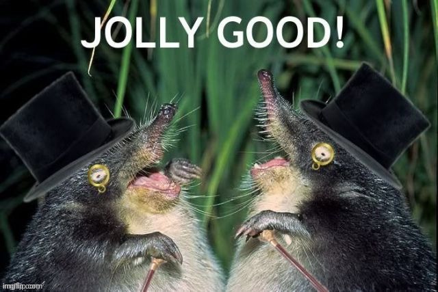 Jolly good | image tagged in jolly good | made w/ Imgflip meme maker