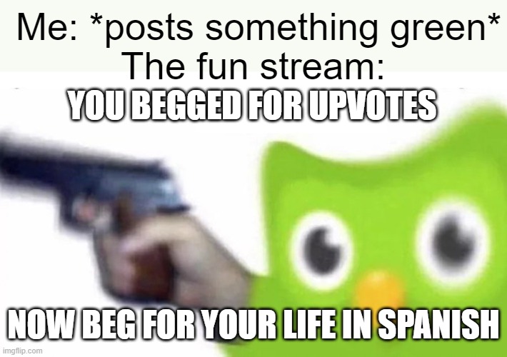 duolingo gun | Me: *posts something green*
The fun stream:; YOU BEGGED FOR UPVOTES; NOW BEG FOR YOUR LIFE IN SPANISH | image tagged in duolingo gun | made w/ Imgflip meme maker