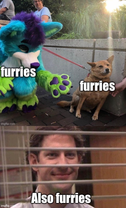 Also furries | image tagged in jim office blinds | made w/ Imgflip meme maker