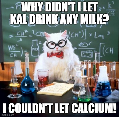 milk | WHY DIDN'T I LET KAL DRINK ANY MILK? I COULDN'T LET CALCIUM! | image tagged in memes,chemistry cat | made w/ Imgflip meme maker