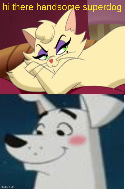 delilah flirting with krypto | hi there handsome superdog | image tagged in blank comic panel 1x2,dogs,cats,flirting | made w/ Imgflip meme maker