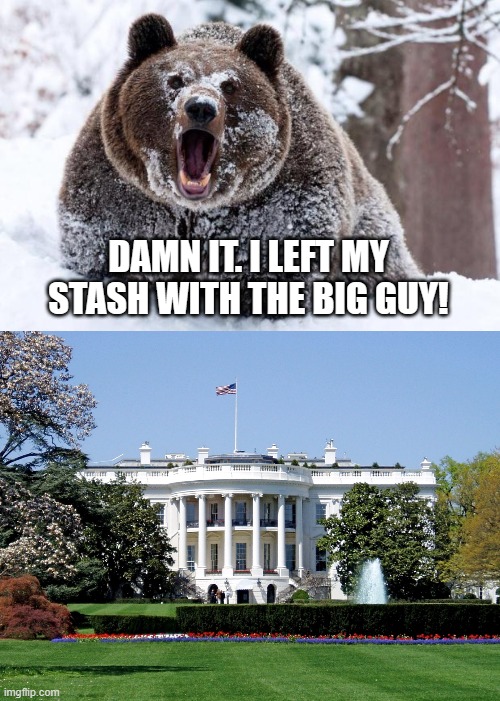 Cocaine at the White House | DAMN IT. I LEFT MY STASH WITH THE BIG GUY! | image tagged in cocaine bear,white house | made w/ Imgflip meme maker