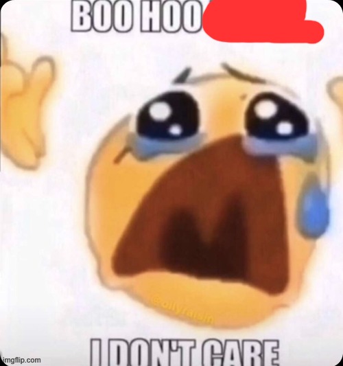 boo hoo I don't care | image tagged in boo hoo i don't care | made w/ Imgflip meme maker