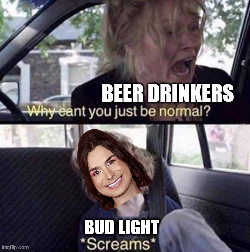 Why Can't You Just Be Normal | BEER DRINKERS BUD LIGHT | image tagged in why can't you just be normal | made w/ Imgflip meme maker