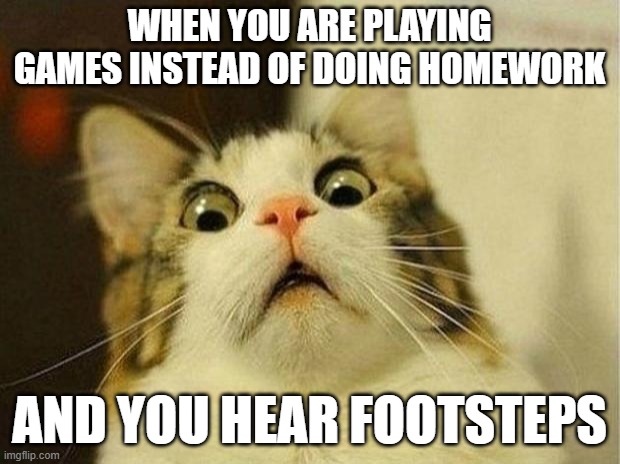 Uh Oh | WHEN YOU ARE PLAYING GAMES INSTEAD OF DOING HOMEWORK; AND YOU HEAR FOOTSTEPS | image tagged in memes | made w/ Imgflip meme maker