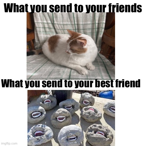 What you send to your friends; What you send to your best friend | made w/ Imgflip meme maker