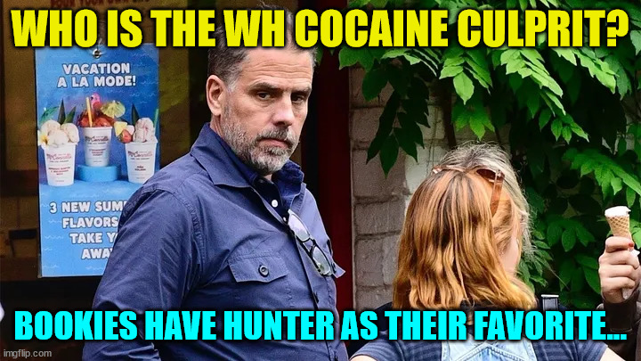 WH cocaine culprit... | WHO IS THE WH COCAINE CULPRIT? BOOKIES HAVE HUNTER AS THEIR FAVORITE... | image tagged in hunter biden | made w/ Imgflip meme maker