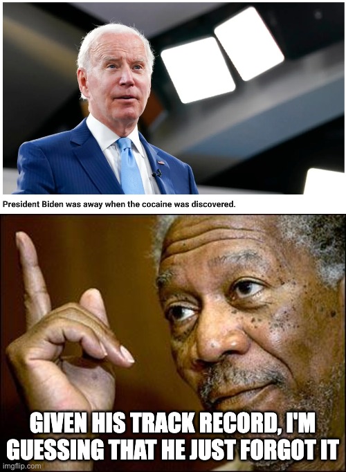 Maybe it wasn't Hunter | GIVEN HIS TRACK RECORD, I'M GUESSING THAT HE JUST FORGOT IT | image tagged in this morgan freeman | made w/ Imgflip meme maker