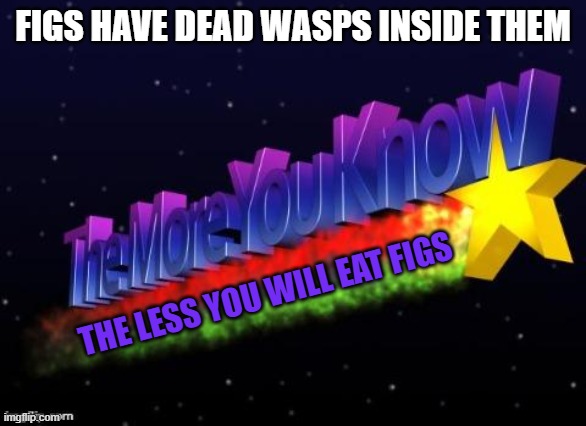 Yuck | FIGS HAVE DEAD WASPS INSIDE THEM; THE LESS YOU WILL EAT FIGS | image tagged in the more you know | made w/ Imgflip meme maker