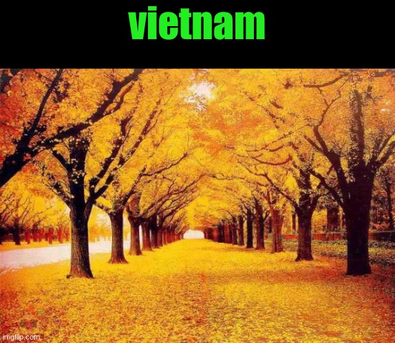 Autumn trees | vietnam | image tagged in autumn trees | made w/ Imgflip meme maker