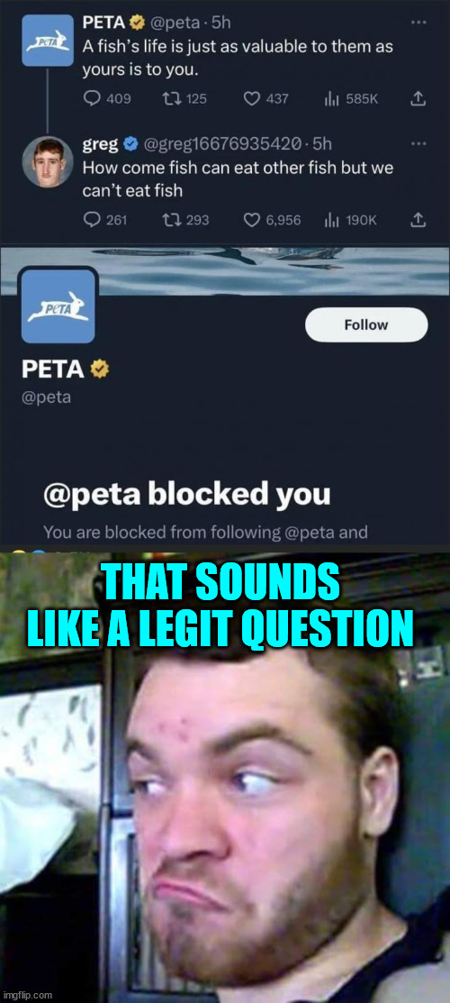 Guess they didn't like the question... | THAT SOUNDS LIKE A LEGIT QUESTION | image tagged in something fishy,peta,censorship | made w/ Imgflip meme maker