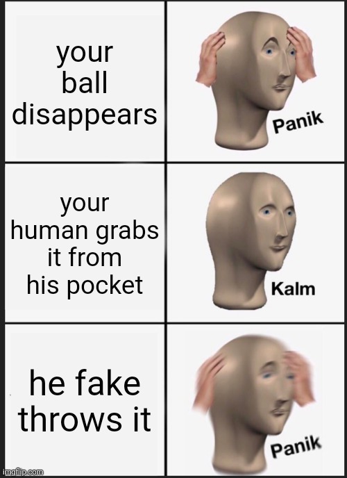 Panik Kalm Panik | your ball disappears; your human grabs it from his pocket; he fake throws it | image tagged in memes,panik kalm panik | made w/ Imgflip meme maker