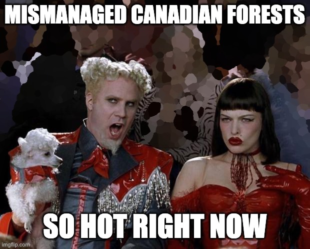 And while we're on the topic of Global Warming... | MISMANAGED CANADIAN FORESTS; SO HOT RIGHT NOW | image tagged in fire,canada | made w/ Imgflip meme maker