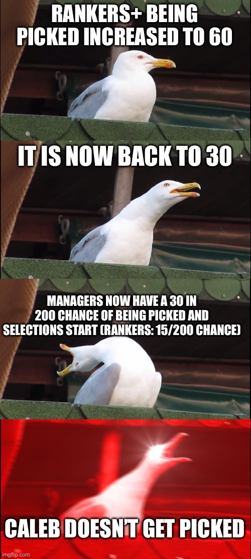 ? | RANKERS+ BEING PICKED INCREASED TO 60; IT IS NOW BACK TO 30; MANAGERS NOW HAVE A 30 IN 200 CHANCE OF BEING PICKED AND SELECTIONS START (RANKERS: 15/200 CHANCE); CALEB DOESN’T GET PICKED | image tagged in memes,inhaling seagull | made w/ Imgflip meme maker