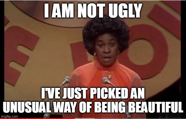 Lawanda Page at roast of Ted Knight | I AM NOT UGLY; I'VE JUST PICKED AN UNUSUAL WAY OF BEING BEAUTIFUL | image tagged in roast,funny,beautiful woman | made w/ Imgflip meme maker
