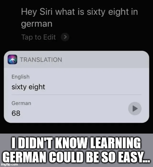 I didn't know learning German could be so easy... | I DIDN'T KNOW LEARNING GERMAN COULD BE SO EASY... | image tagged in siri,foreign,language,learning,eye roll | made w/ Imgflip meme maker