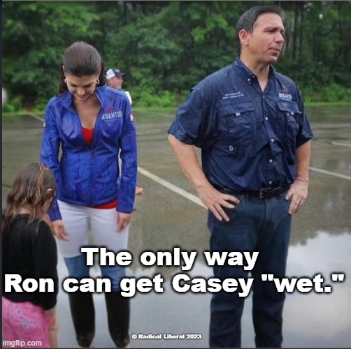 Getting DeSantis | The only way 
Ron can get Casey "wet."; © Radical Liberal 2023 | image tagged in desantis,florida,moron,wet,desantis is a dick | made w/ Imgflip meme maker