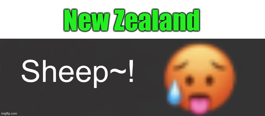 Sheep~! | New Zealand | image tagged in sheep | made w/ Imgflip meme maker