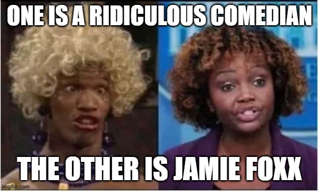 ridiculous comedian | ONE IS A RIDICULOUS COMEDIAN; THE OTHER IS JAMIE FOXX | image tagged in jamie foxx | made w/ Imgflip meme maker