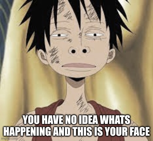 comment E | YOU HAVE NO IDEA WHATS HAPPENING AND THIS IS YOUR FACE | image tagged in fun,anime,luffy,one piece | made w/ Imgflip meme maker