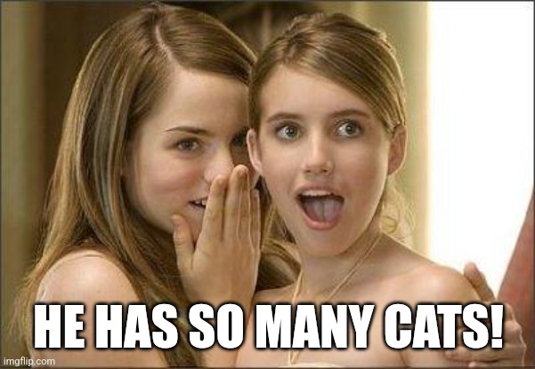 Girls gossiping | HE HAS SO MANY CATS! | image tagged in girls gossiping | made w/ Imgflip meme maker