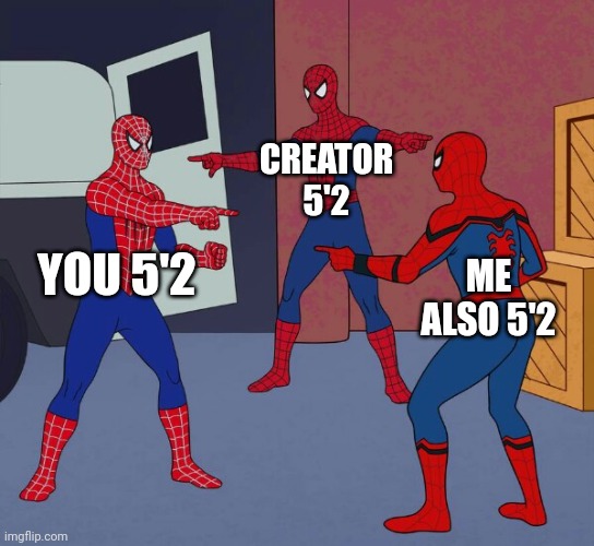 Spider Man Triple | YOU 5'2 CREATOR 5'2 ME ALSO 5'2 | image tagged in spider man triple | made w/ Imgflip meme maker