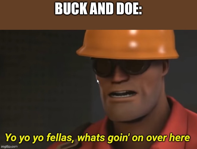 Yo yo yo fellas whats goin' on over here | BUCK AND DOE: | image tagged in yo yo yo fellas whats goin' on over here | made w/ Imgflip meme maker